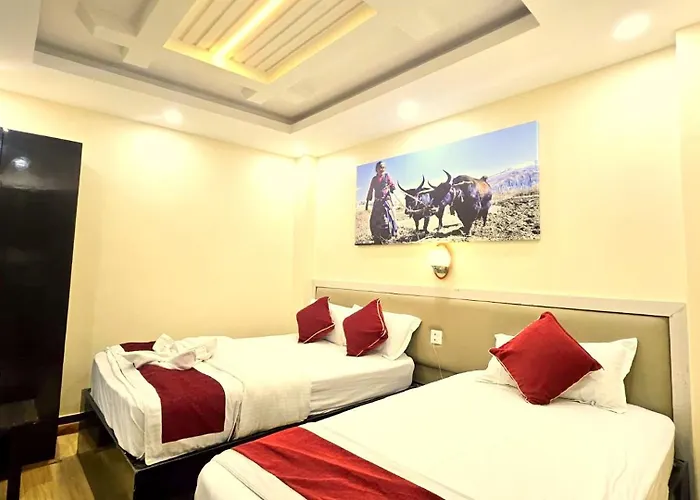 Paradise Valley View Pvt Ltd 2* Katmandú